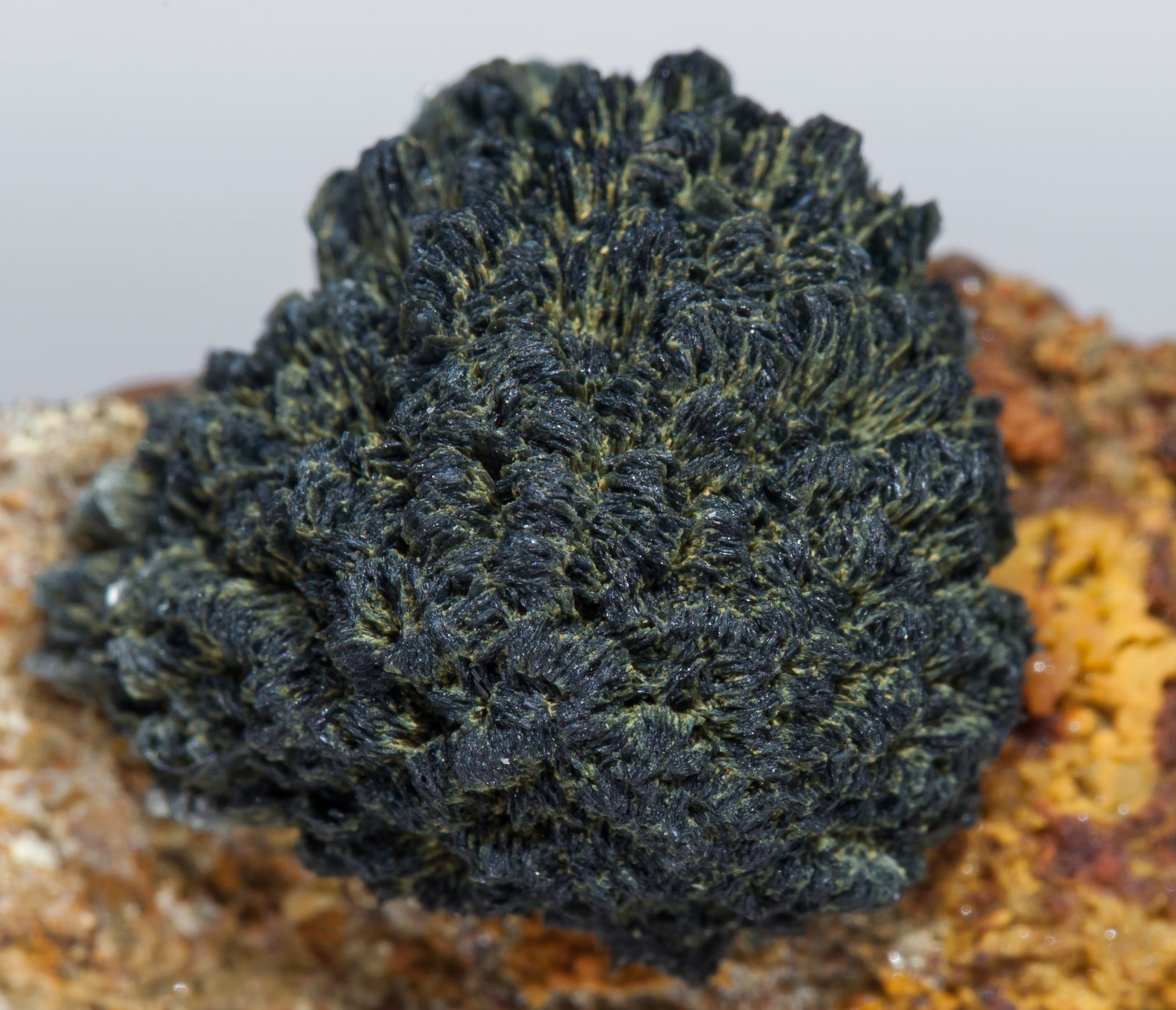specimens/s_imagesAB8/Kottigite-TT47AB8d.jpg