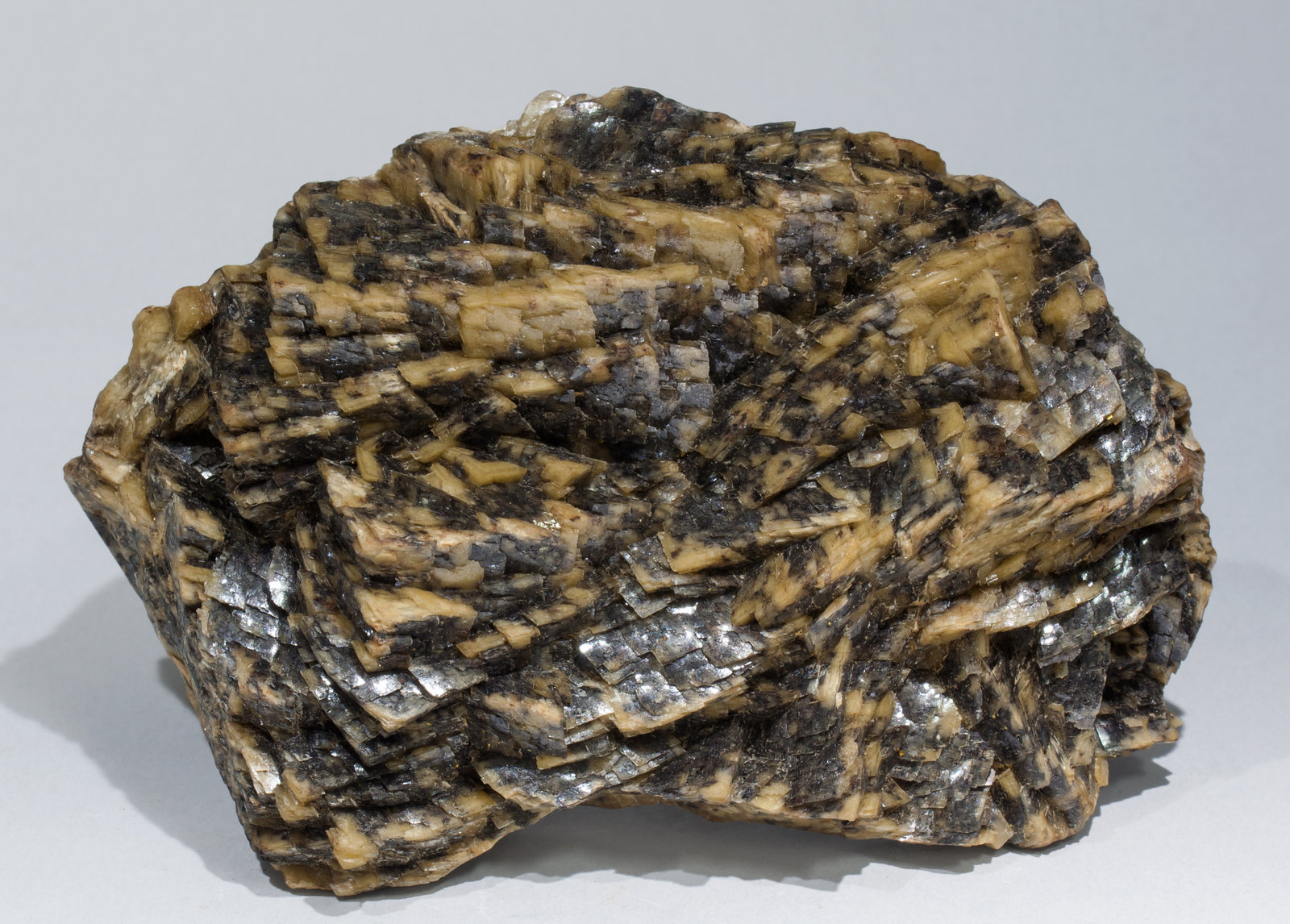 specimens/s_imagesAB8/Siderite-SB67AB8f.jpg