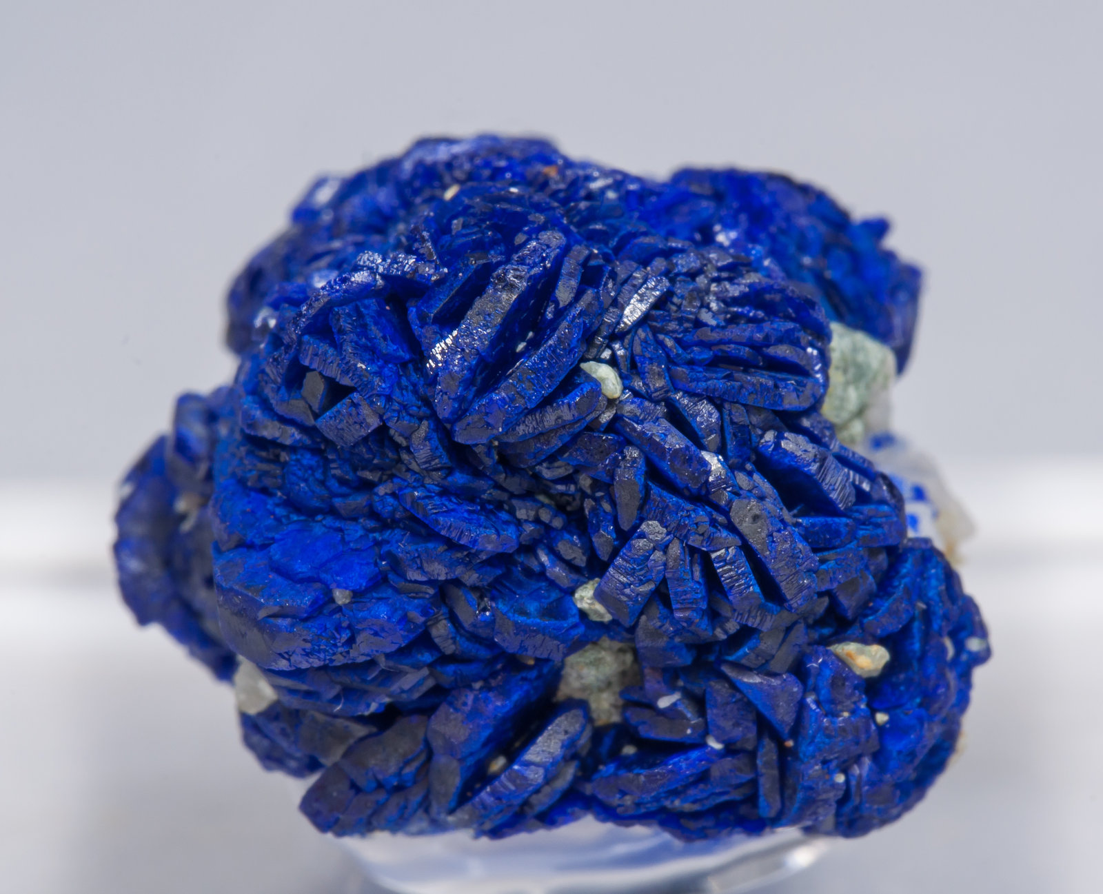 specimens/s_imagesAB9/Azurite-ND11AB9f.jpg