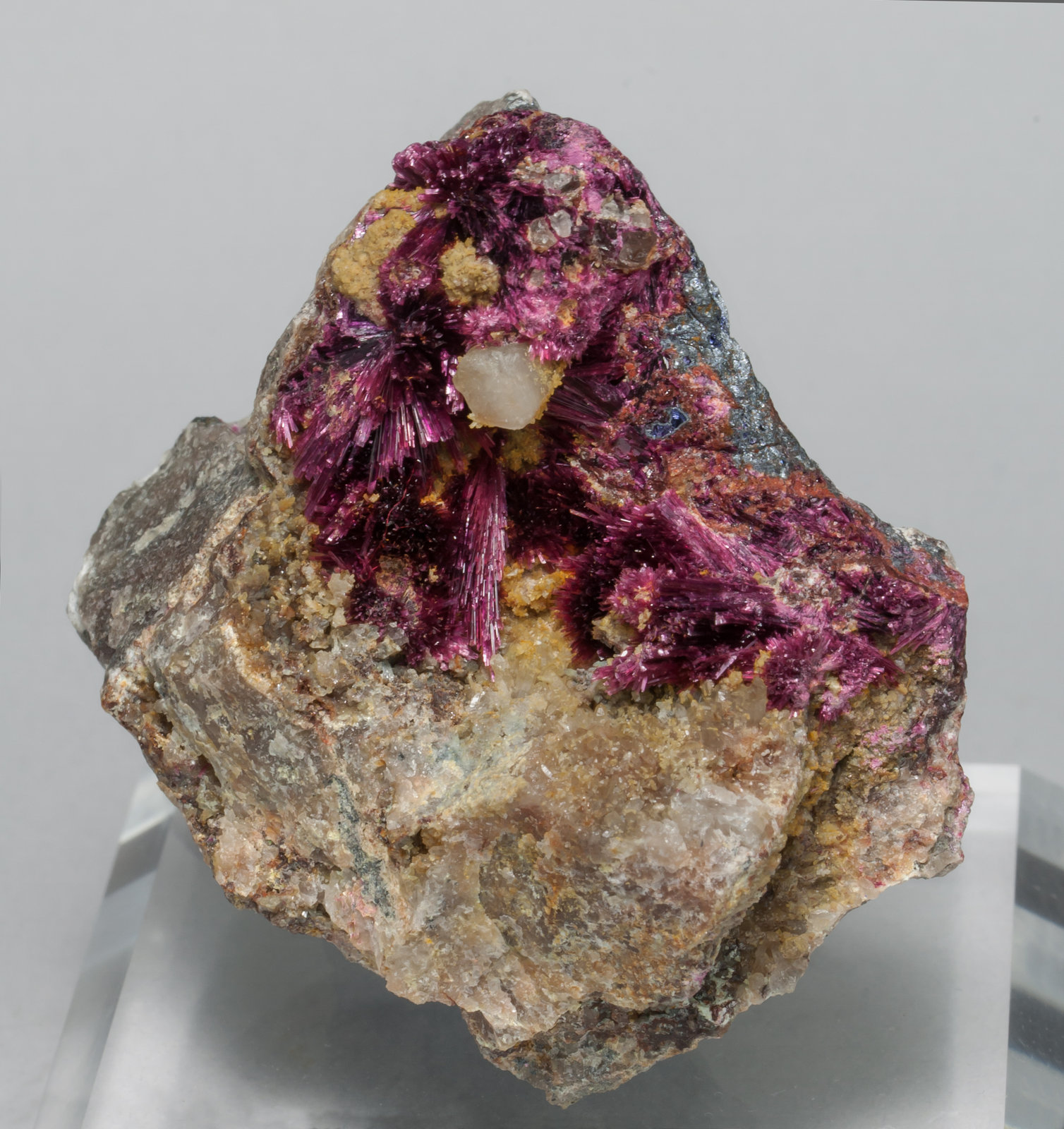 specimens/s_imagesAB9/Erythrite-EC37AB9f.jpg