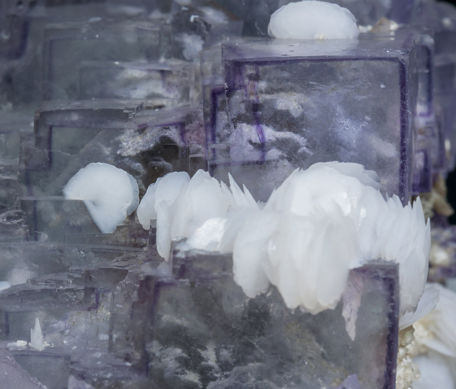 specimens/s_imagesAB9/Fluorite-MG86AB9d.jpg