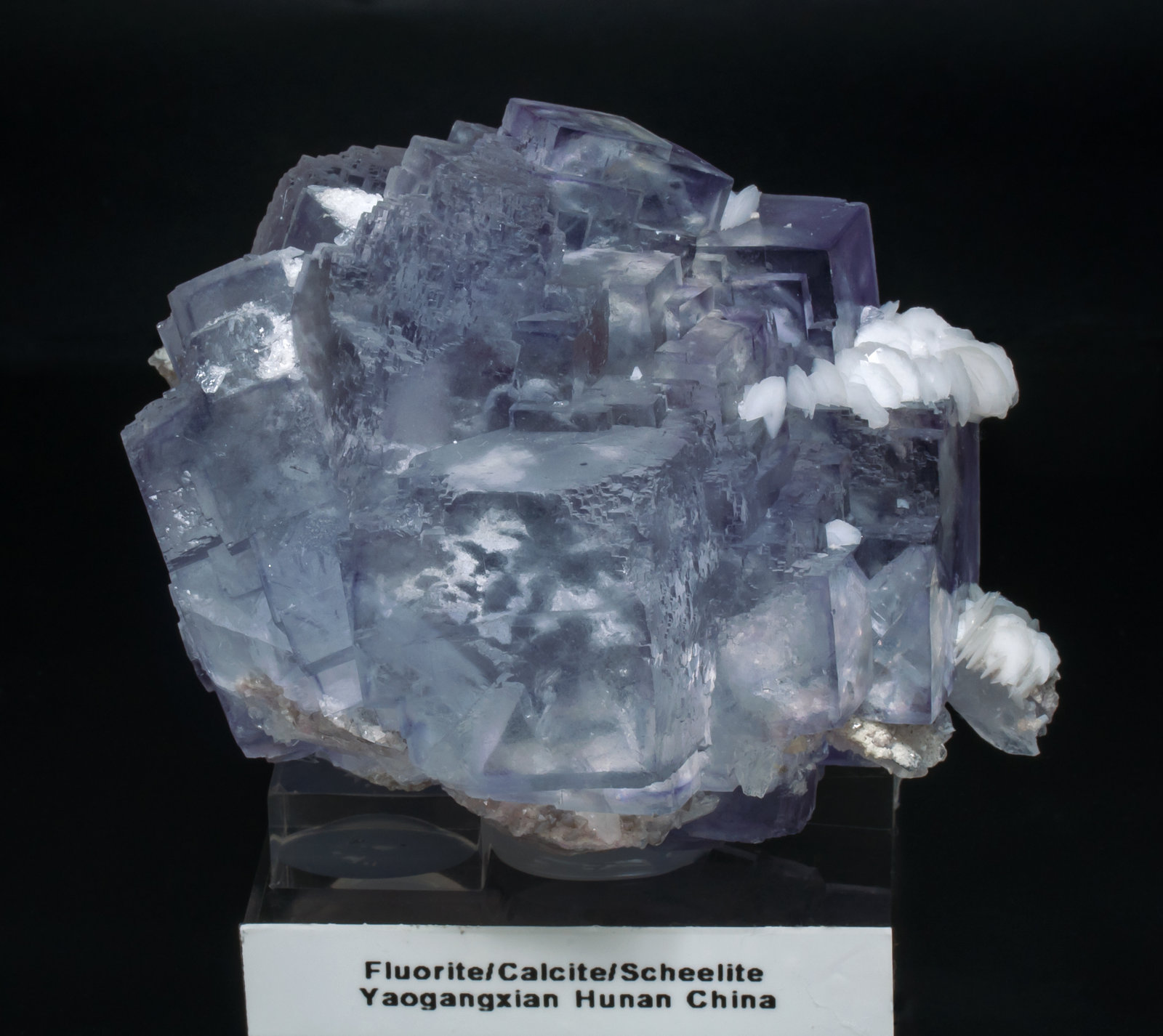 specimens/s_imagesAB9/Fluorite-MG86AB9f.jpg