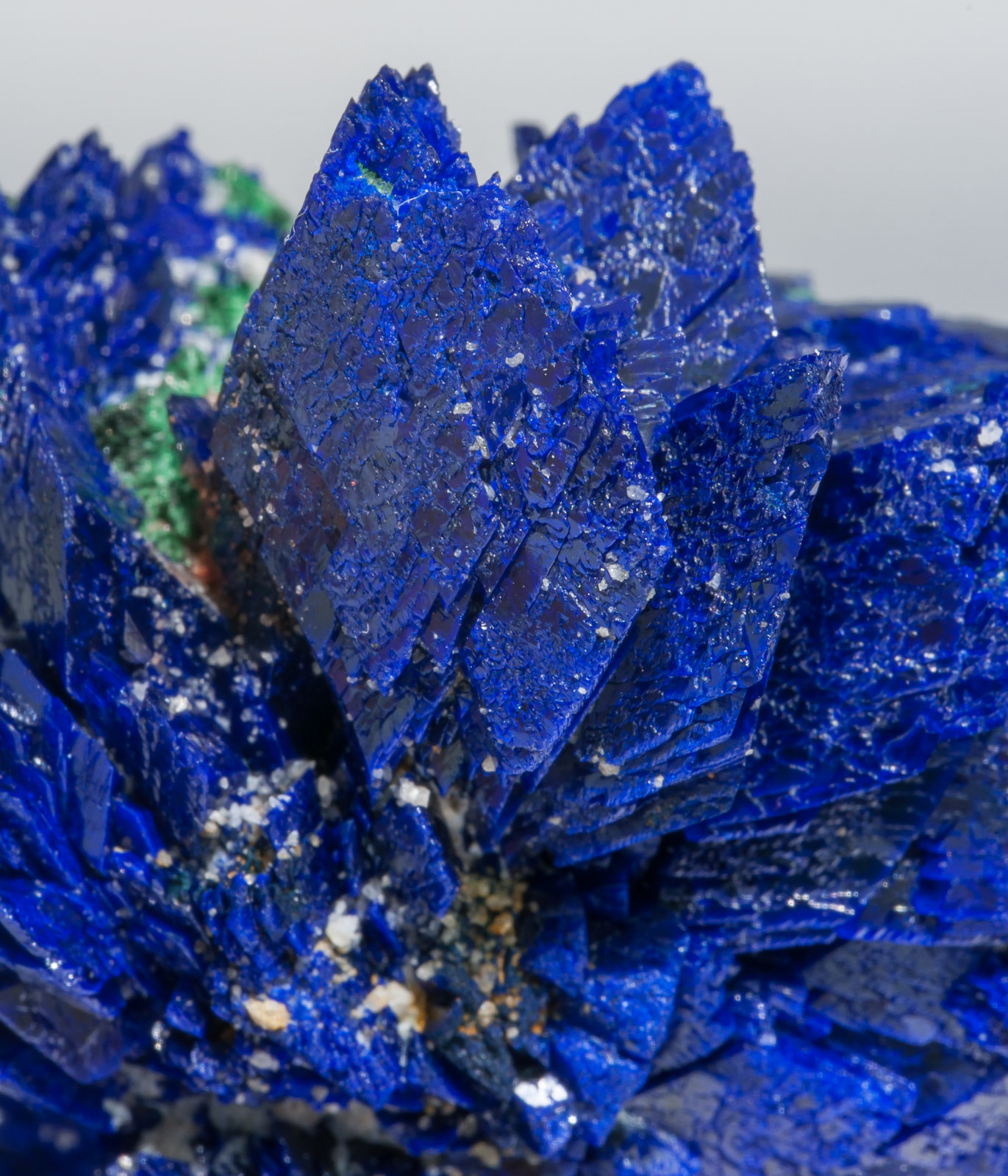 specimens/s_imagesAC0/Azurite-EZ70AC0d.jpg