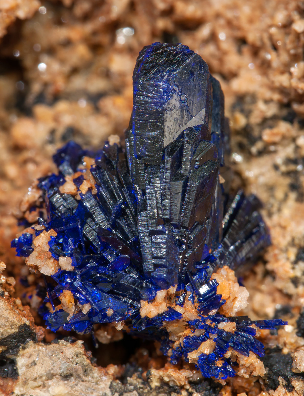 specimens/s_imagesAC0/Azurite-SQ27AC0d.jpg