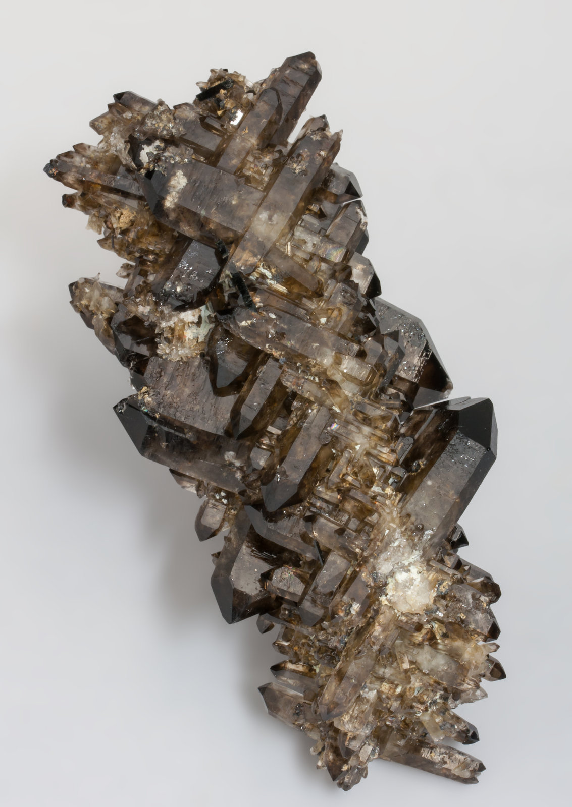 specimens/s_imagesAC0/Quartz-EQ37AC0f.jpg