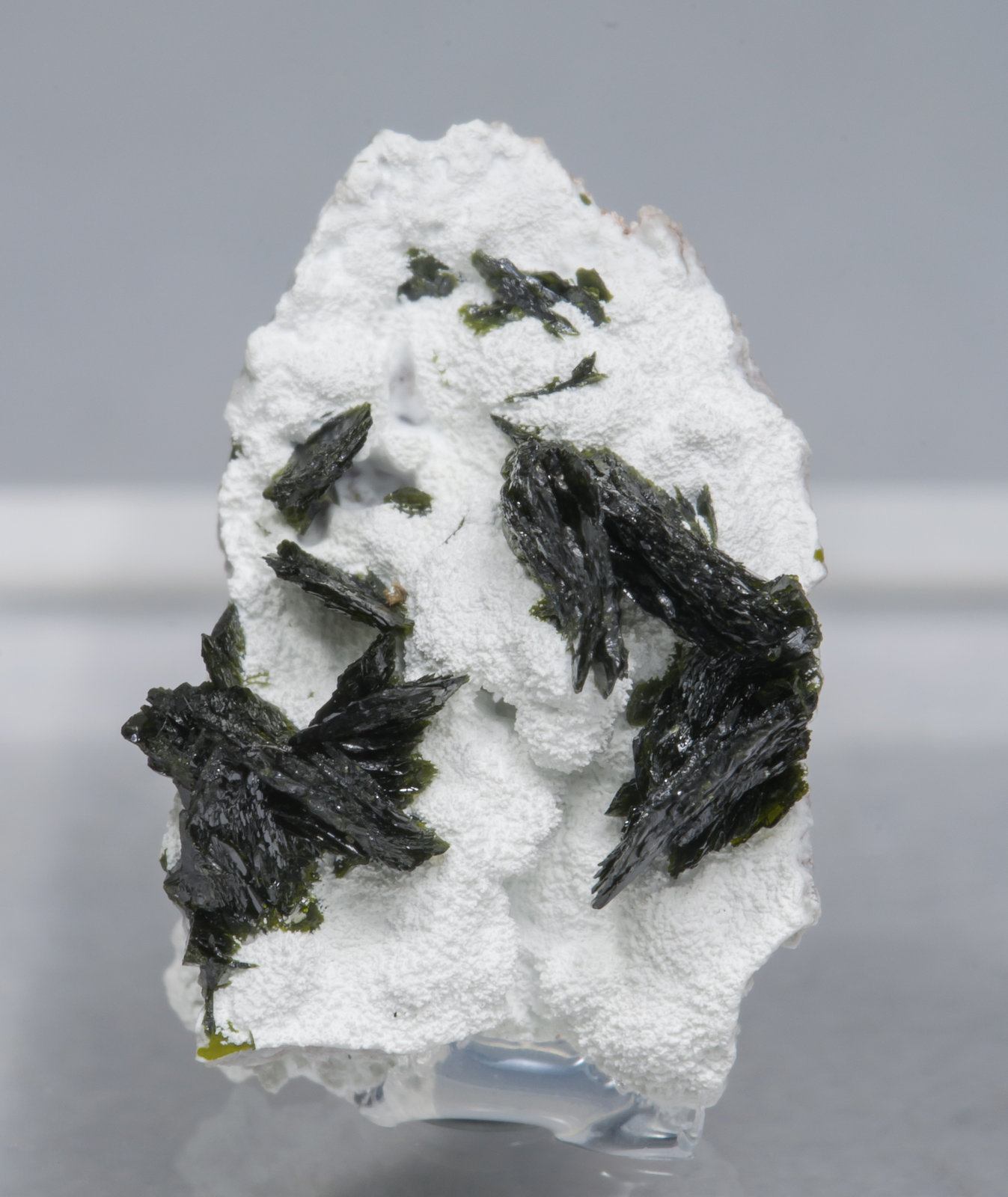 specimens/s_imagesAC1/Volborthite-EY37AC1f.jpg