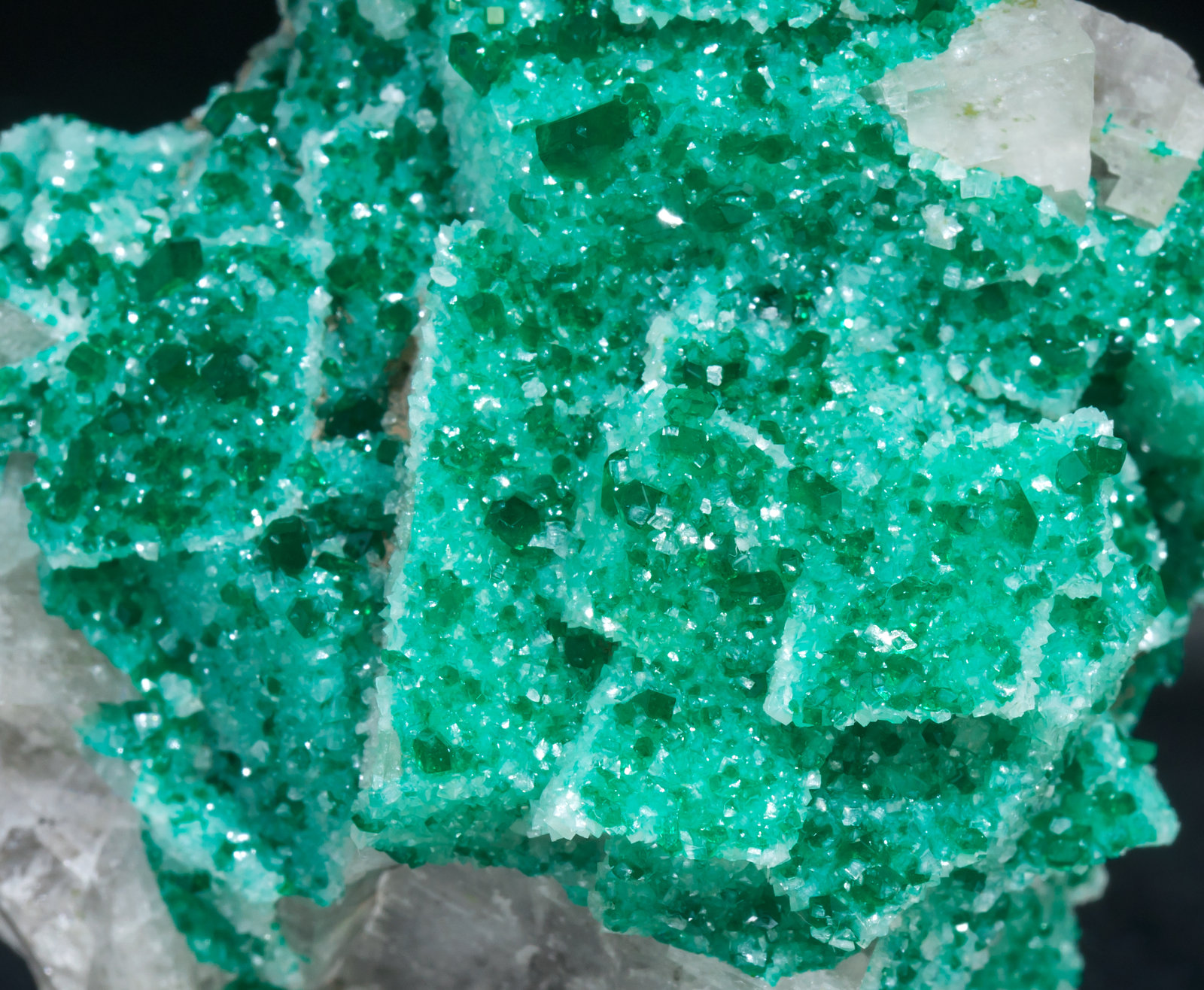 specimens/s_imagesAC2/Dioptase-TF50AC2d.jpg