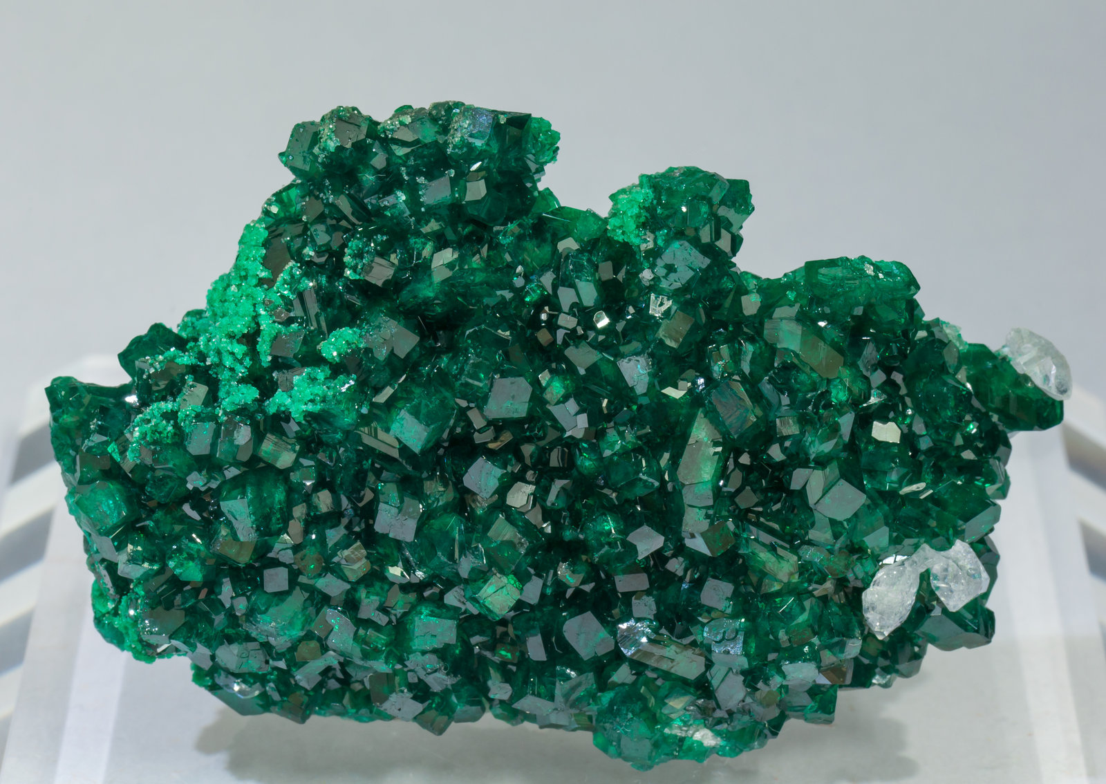 specimens/s_imagesAC2/Dioptase-TG98AC2f.jpg