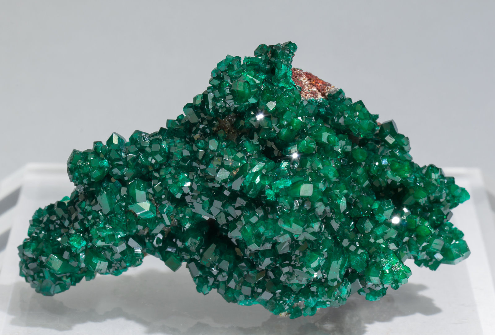 specimens/s_imagesAC2/Dioptase-TH68AC2f.jpg