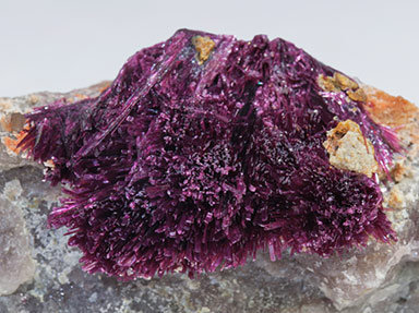 Erythrite with Phlogopite. 