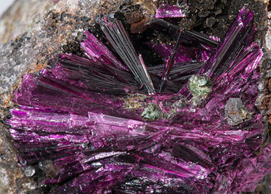 Erythrite with Phlogopite. 