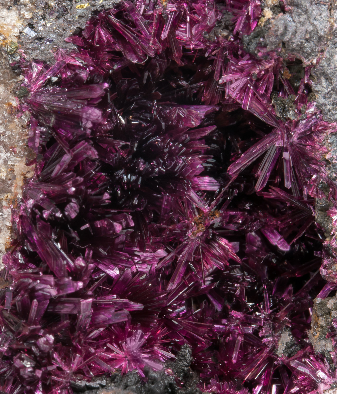 specimens/s_imagesAC2/Erythrite-EY88AC2d.jpg