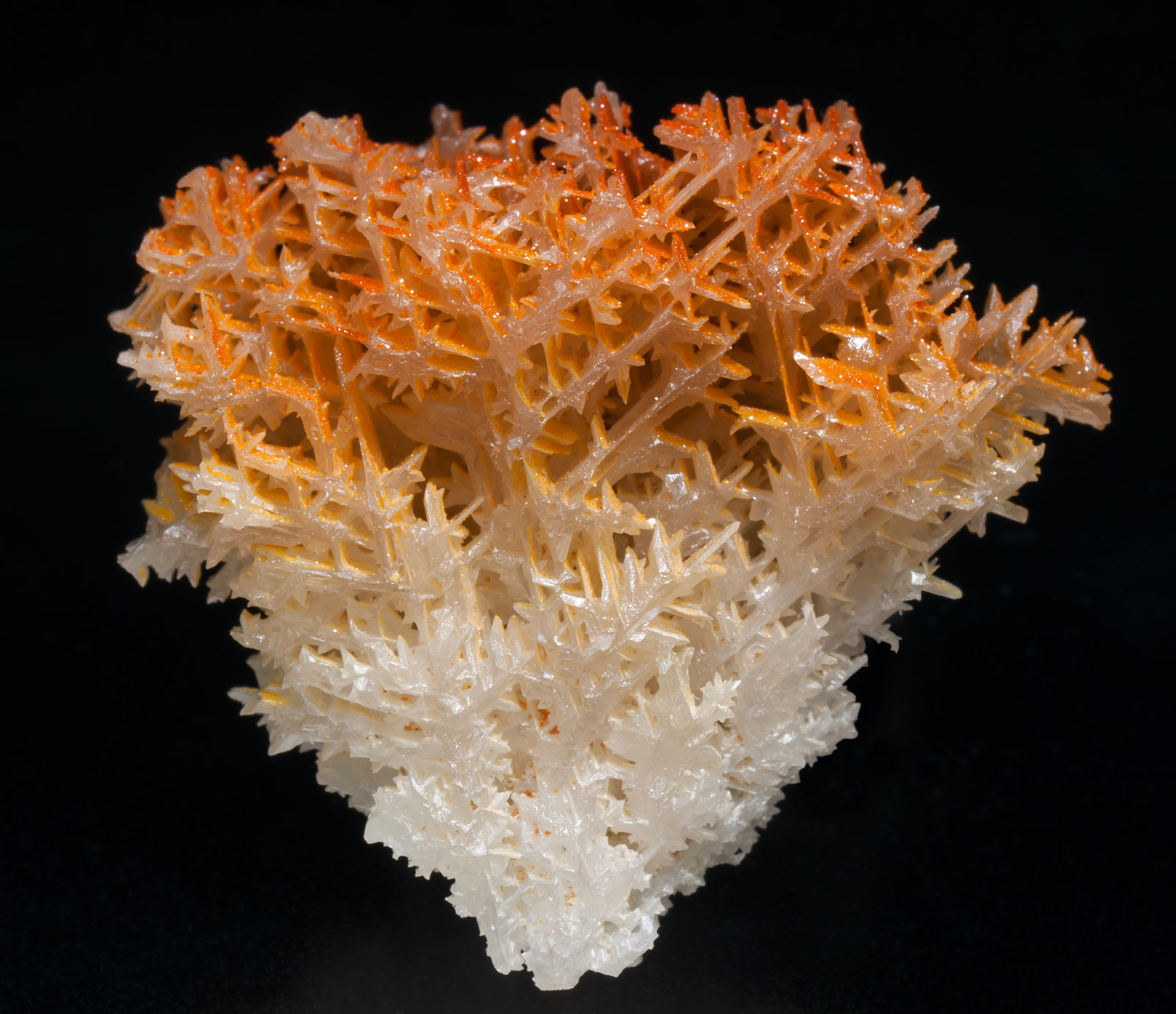 specimens/s_imagesAC2/Mimetite_vanadian-EB99AC2f.jpg
