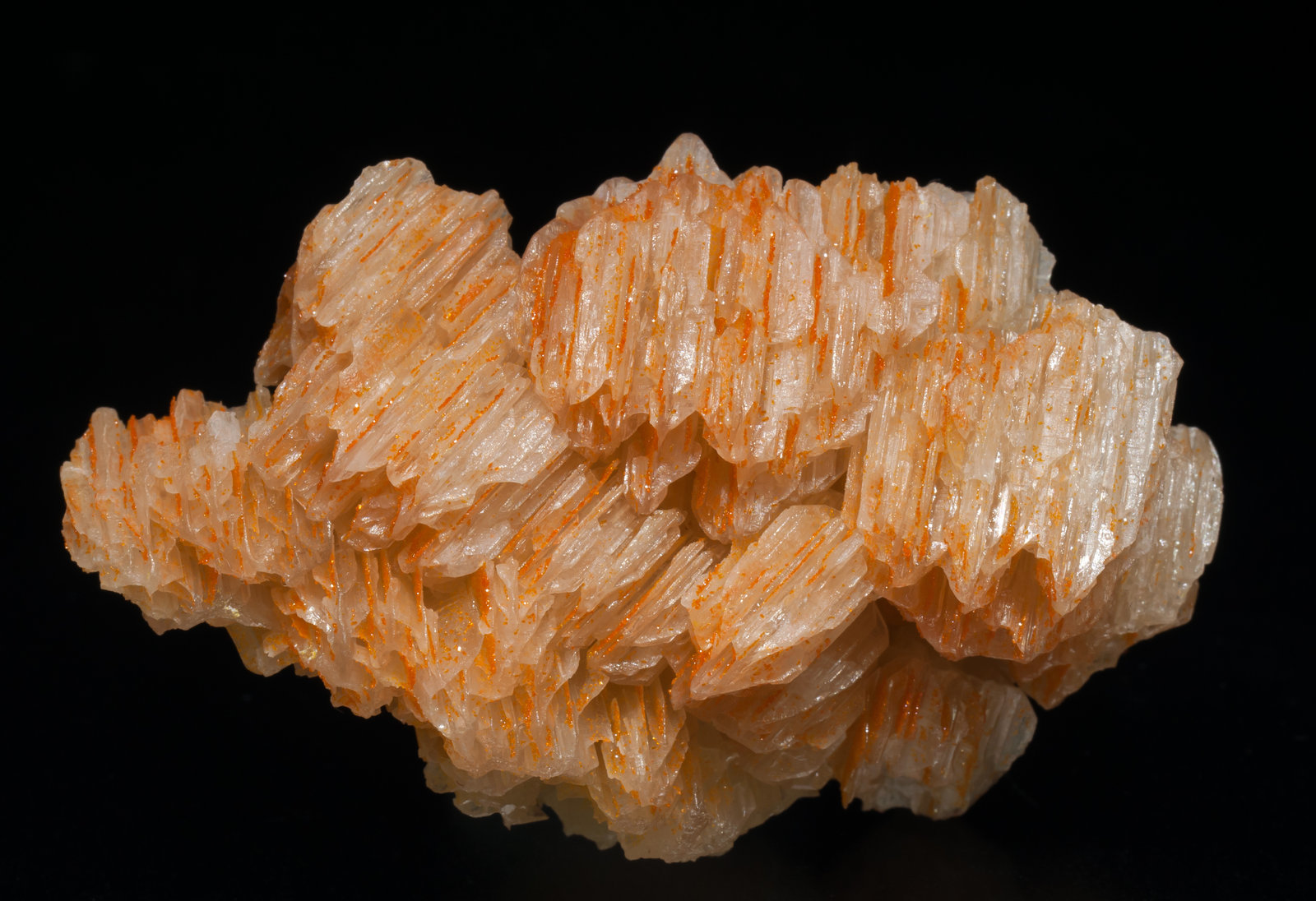 specimens/s_imagesAC2/Mimetite_vanadian-EH48AC2f.jpg