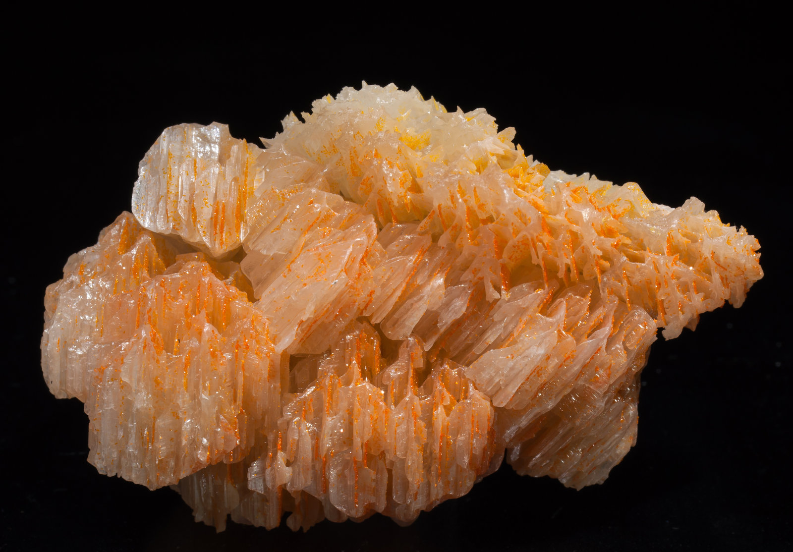 specimens/s_imagesAC2/Mimetite_vanadian-EH48AC2s.jpg