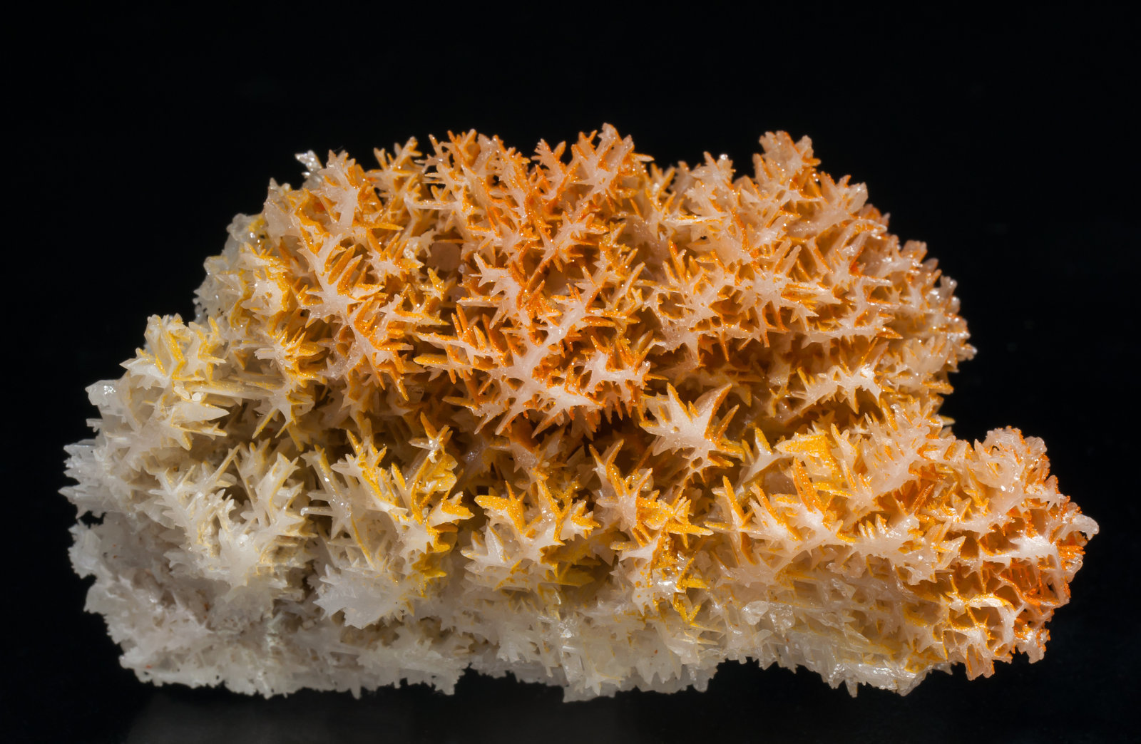 specimens/s_imagesAC2/Mimetite_vanadian-EJ89AC2f.jpg
