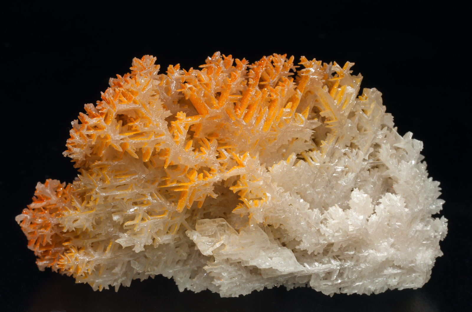 specimens/s_imagesAC2/Mimetite_vanadian-EJ89AC2r.jpg