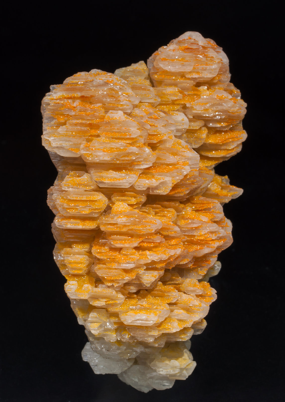 specimens/s_imagesAC2/Mimetite_vanadian-EJ89AC2t.jpg