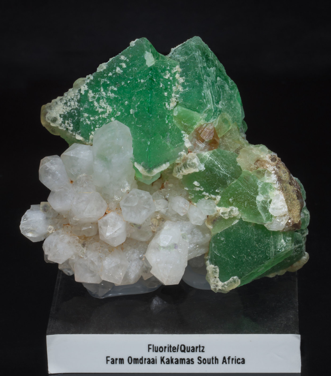 specimens/s_imagesAC3/Fluorite-FF27AC3f.jpg