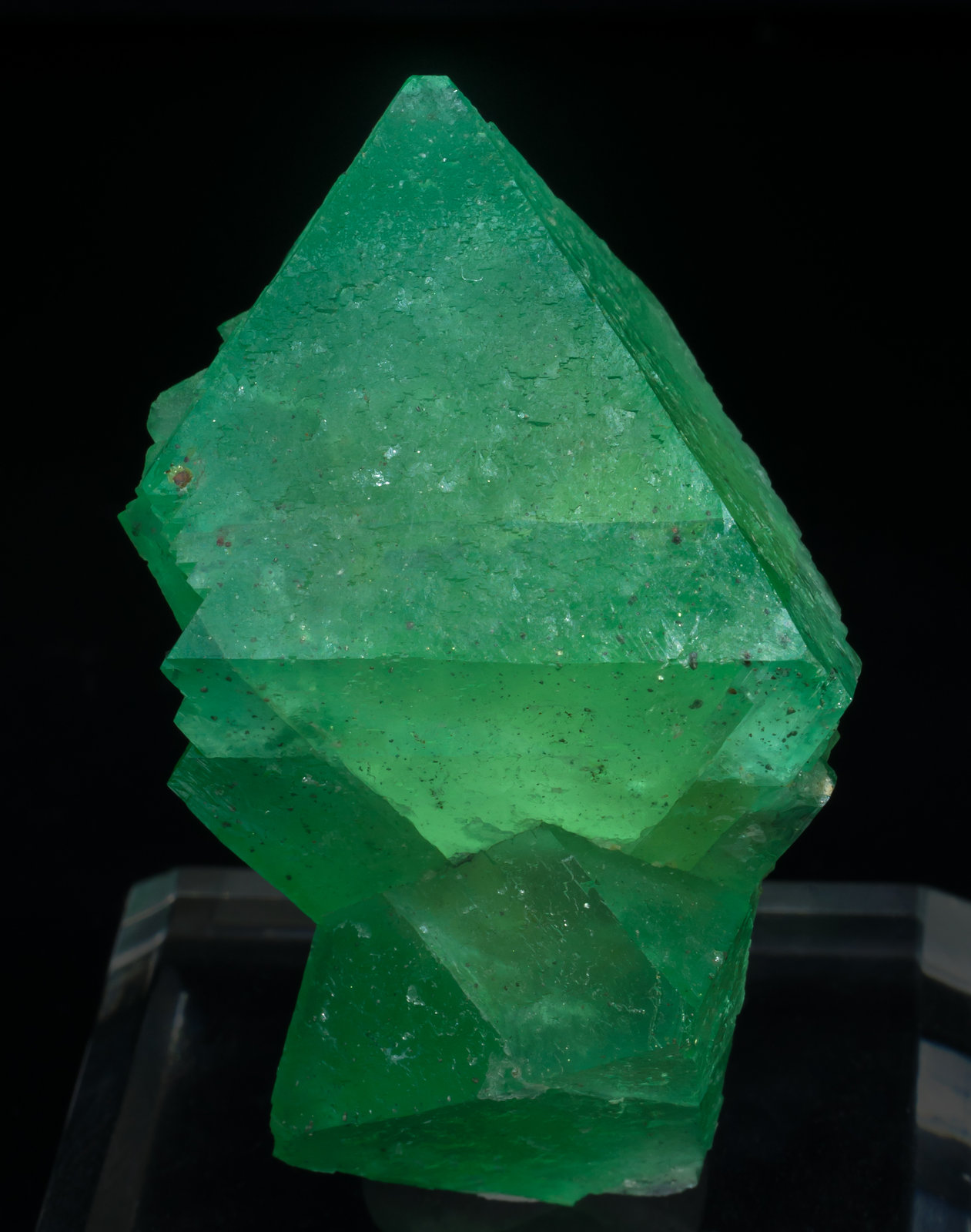 specimens/s_imagesAC3/Fluorite-MF37AC3s.jpg