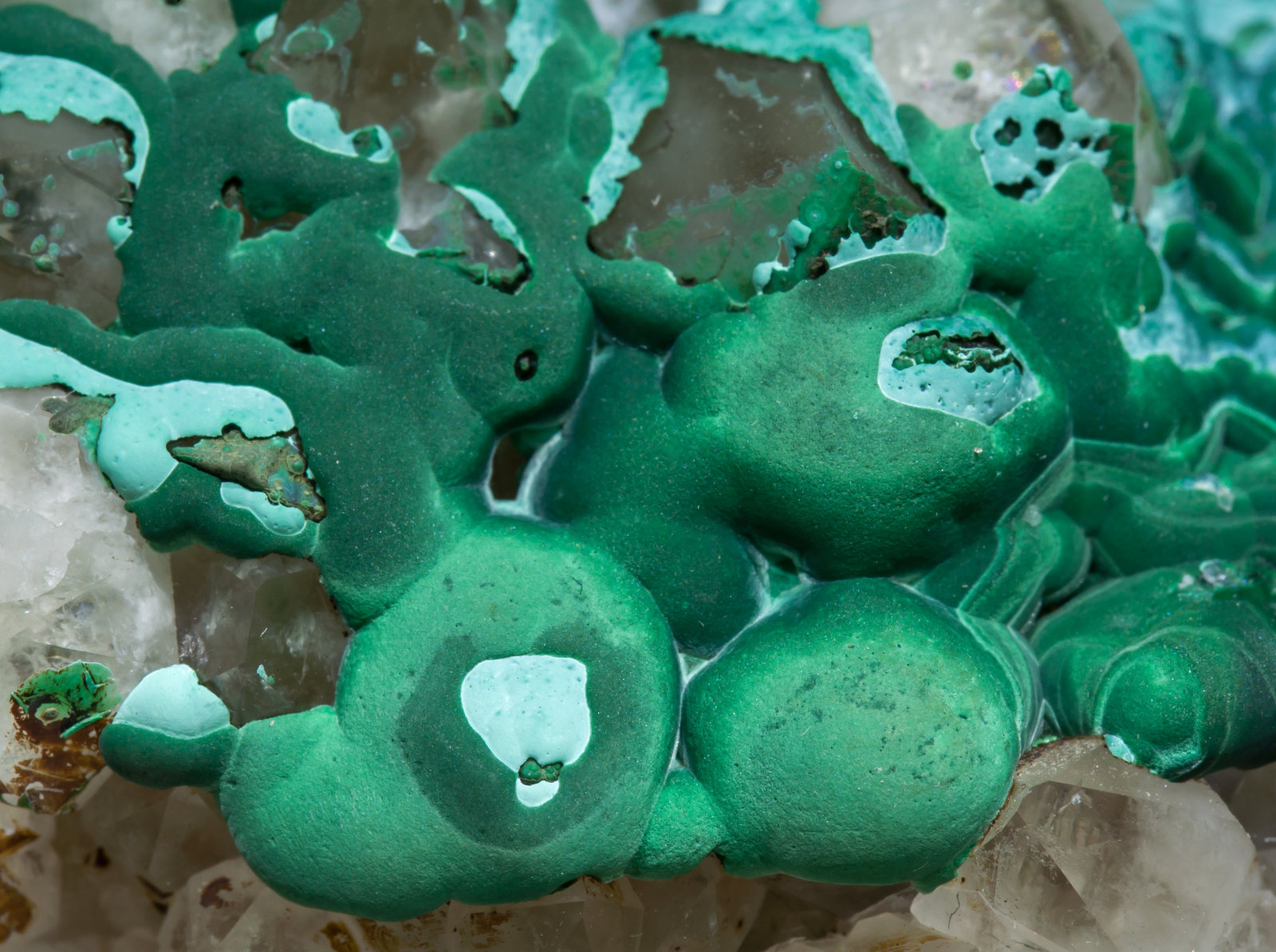 specimens/s_imagesAC3/Malachite-SC86AC3d.jpg