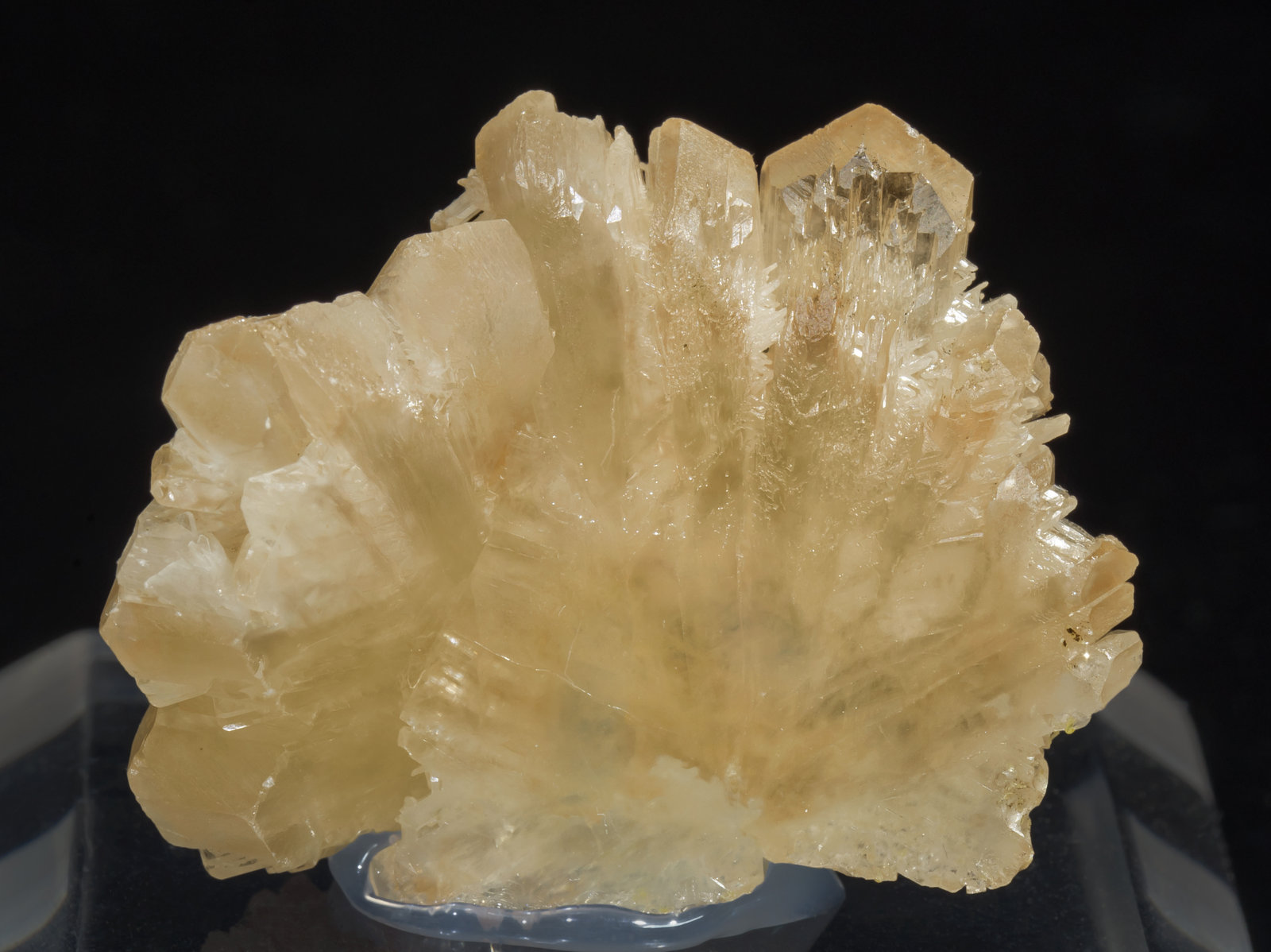 specimens/s_imagesAC4/Cerussite-TR47AC4f.jpg