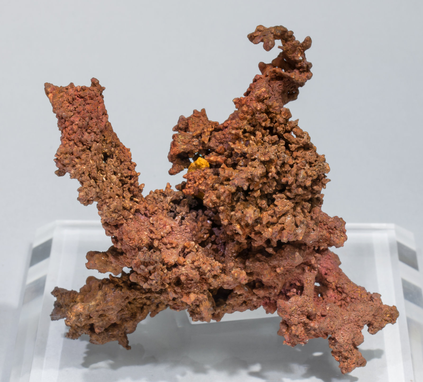 specimens/s_imagesAC4/Copper-NC59AC4f.jpg