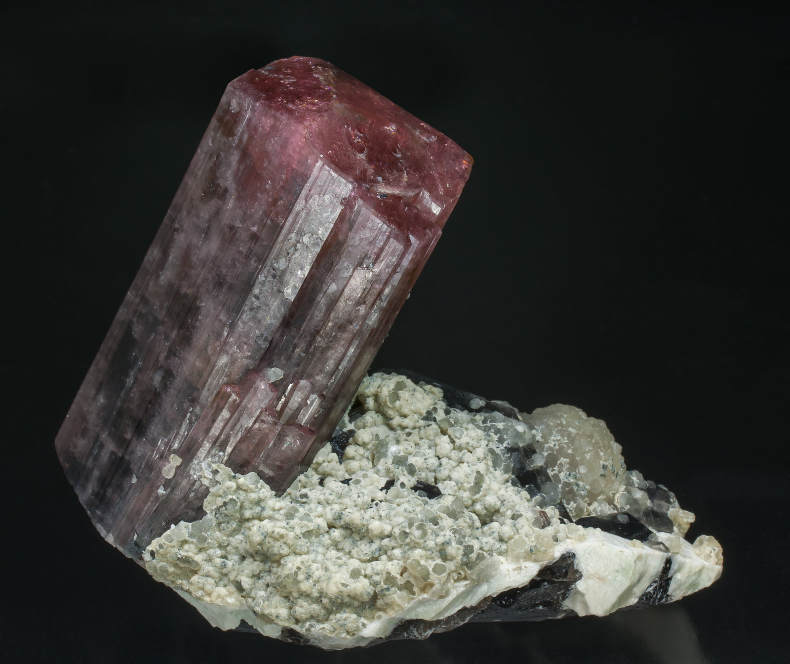 specimens/s_imagesAC4/Elbaite-DX94AC4r.jpg