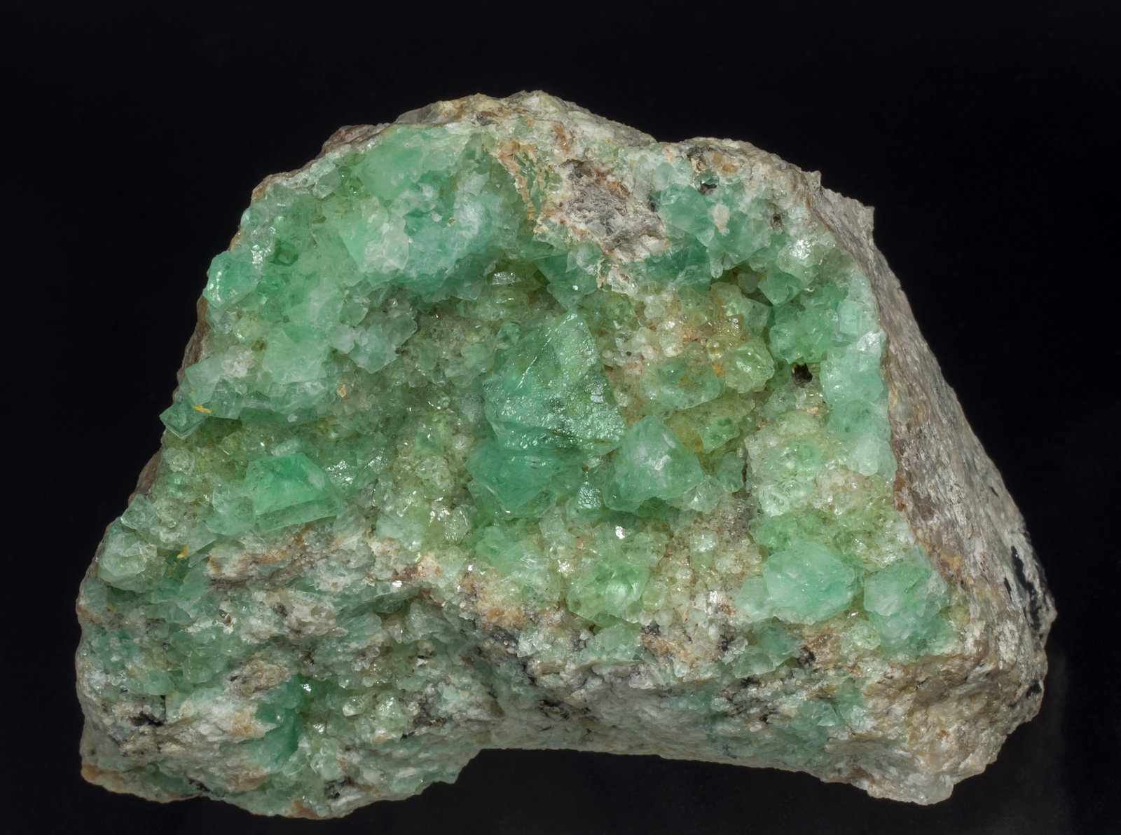 specimens/s_imagesAC5/Fluorite-MA14AC5f.jpg
