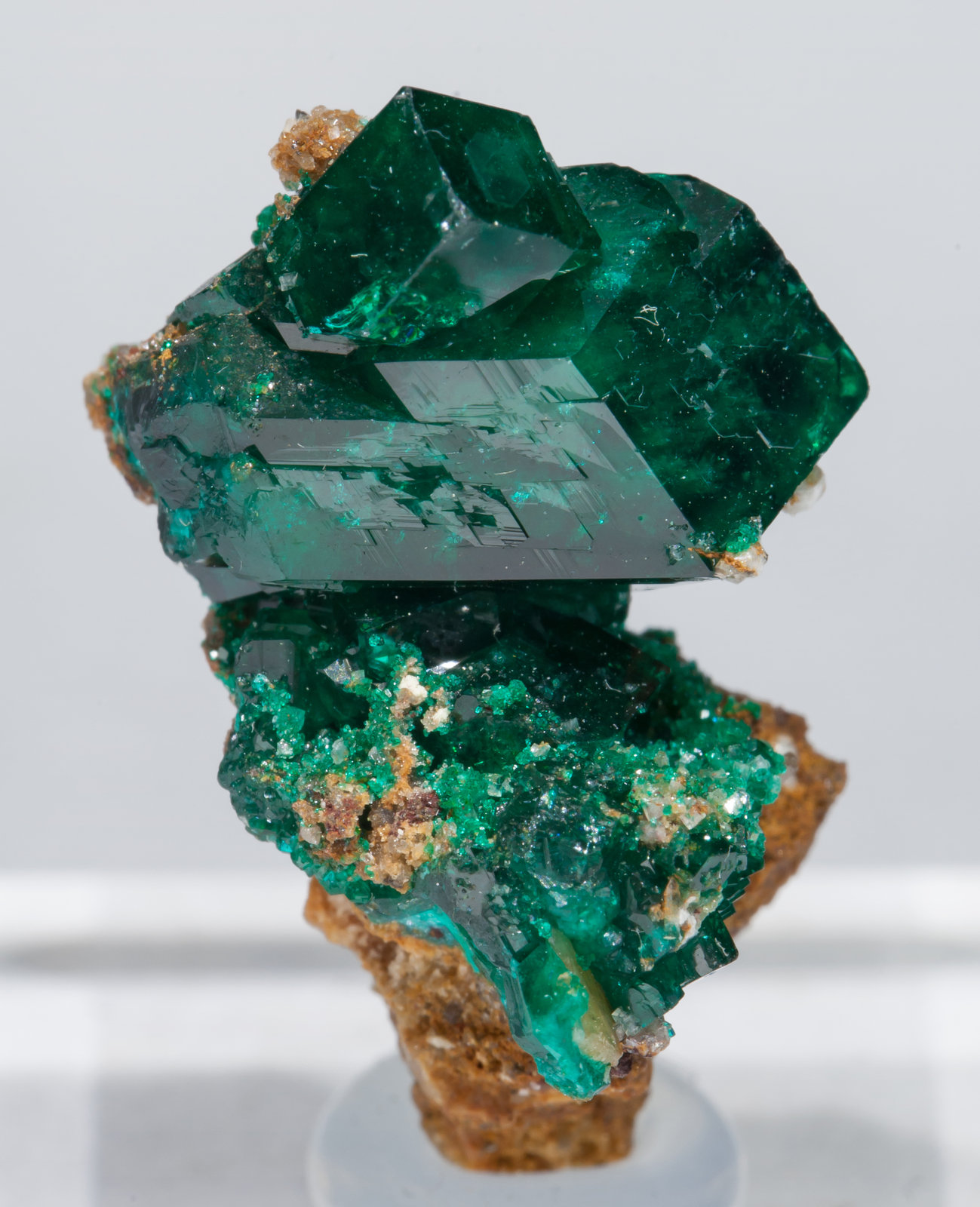 specimens/s_imagesAC6/Dioptase-ED37AC6f.jpg