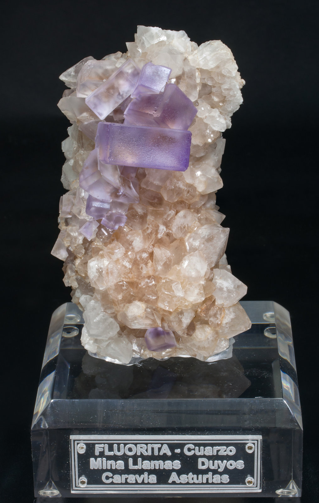 specimens/s_imagesAC6/Fluorite-NT73AC6f.jpg