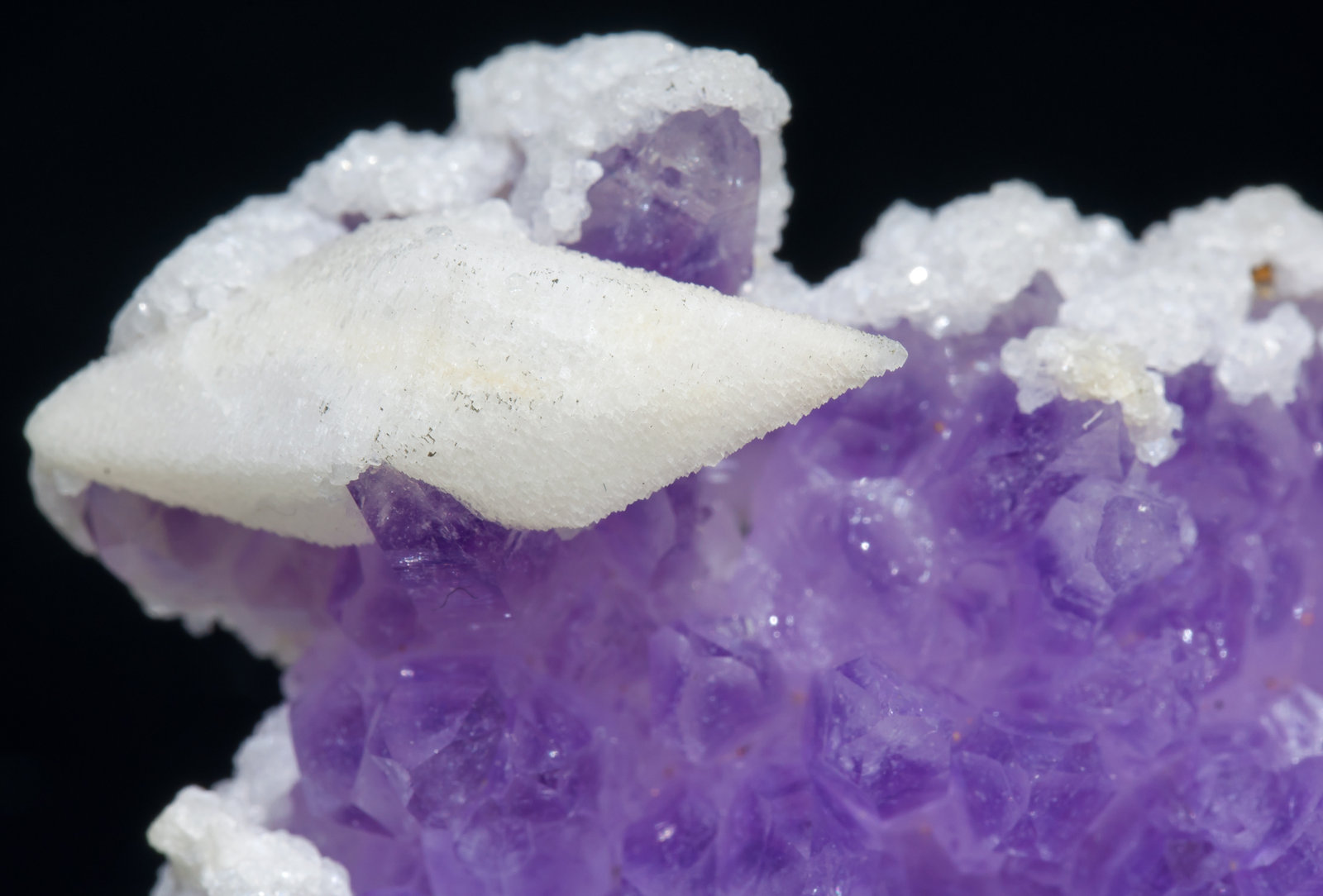specimens/s_imagesAC6/Quartz_amethyst-EP49AC6d.jpg