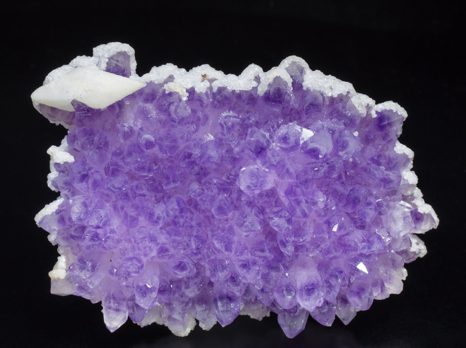 specimens/s_imagesAC6/Quartz_amethyst-EP49AC6f.jpg