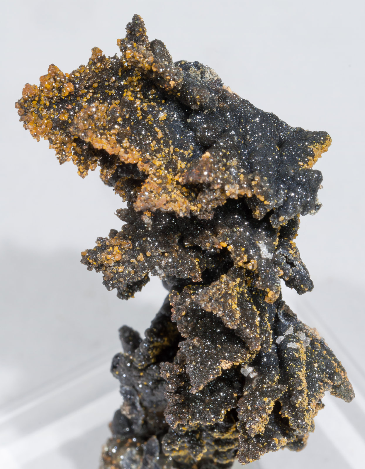 specimens/s_imagesAC6/Willemite-MG57AC6d.jpg