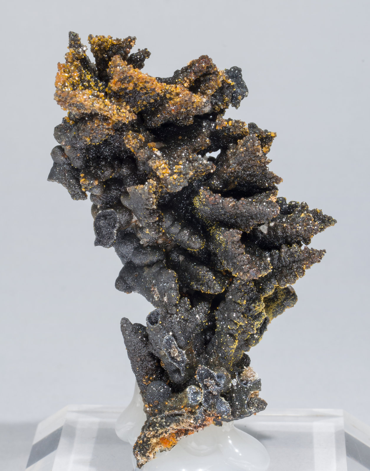 specimens/s_imagesAC6/Willemite-MG57AC6f.jpg