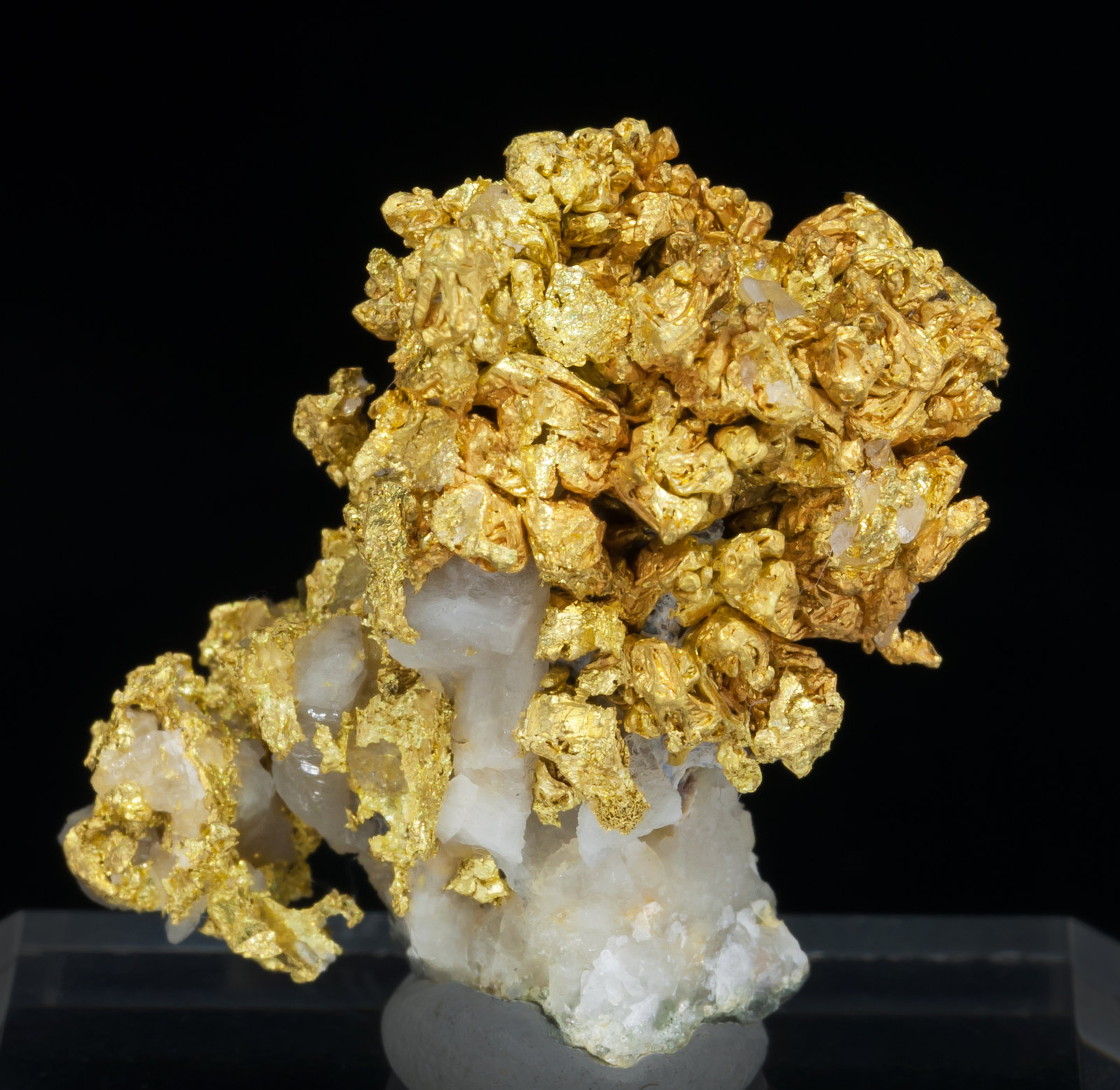 specimens/s_imagesAC7/Gold-MA8AC7r.jpg
