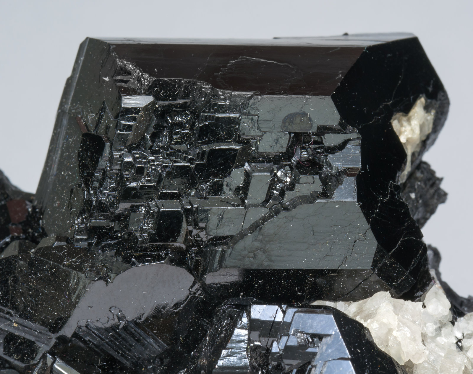 specimens/s_imagesAC7/Schorl-DT37AC7d.jpg
