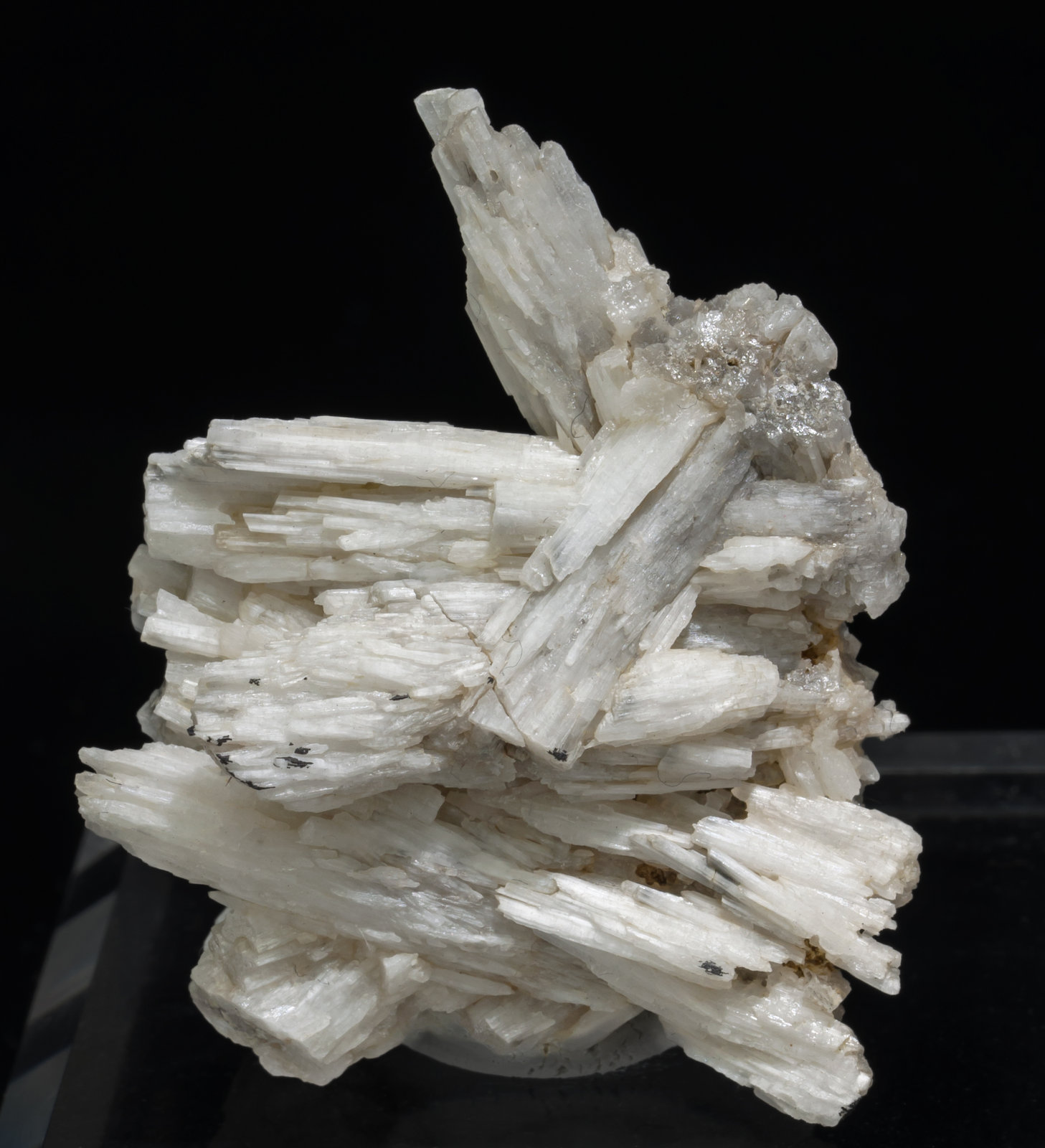 specimens/s_imagesAC8/Cerussite-EA47AC8f.jpg