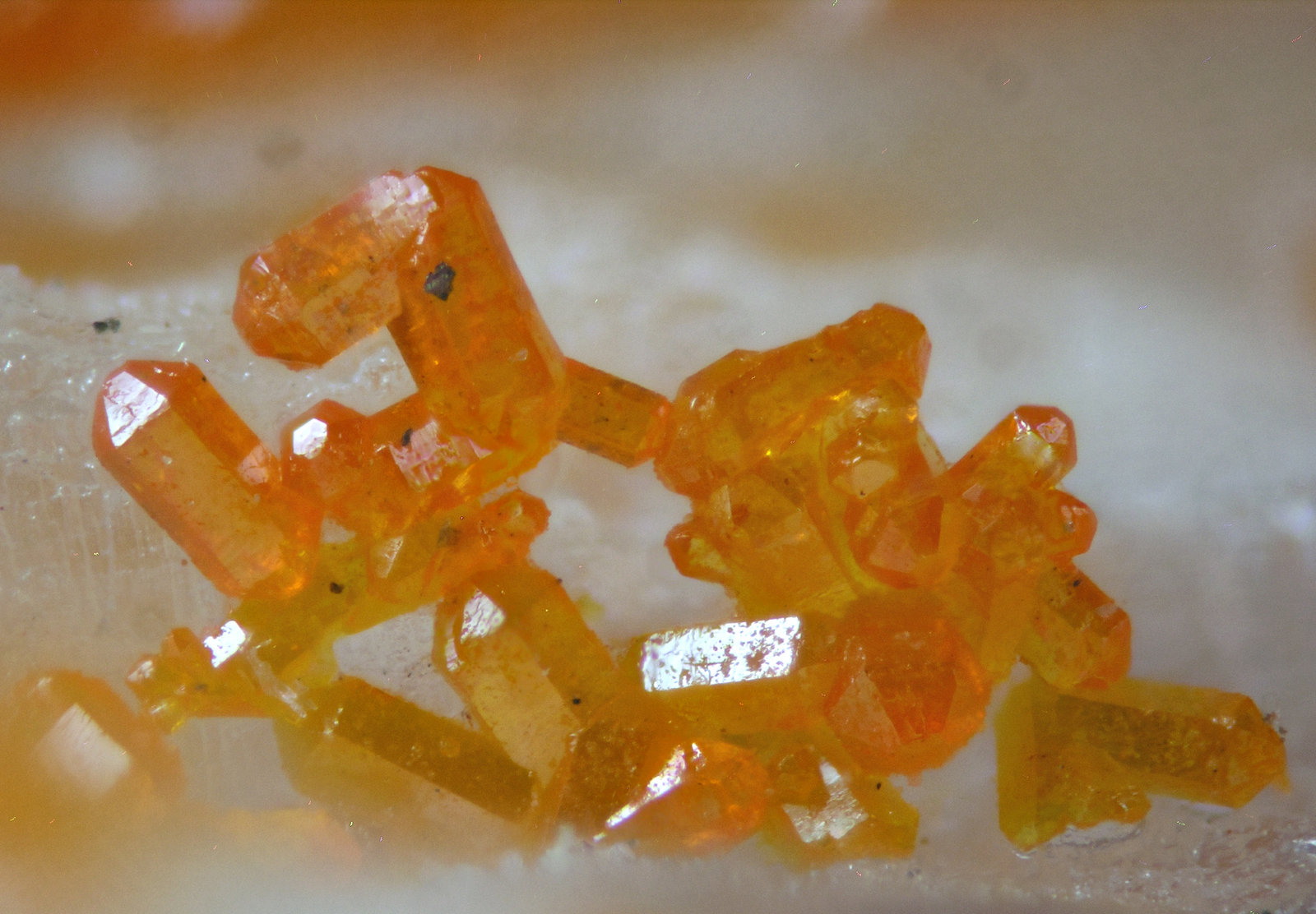 specimens/s_imagesAC8/Mimetite-EF50AC8d2.jpg