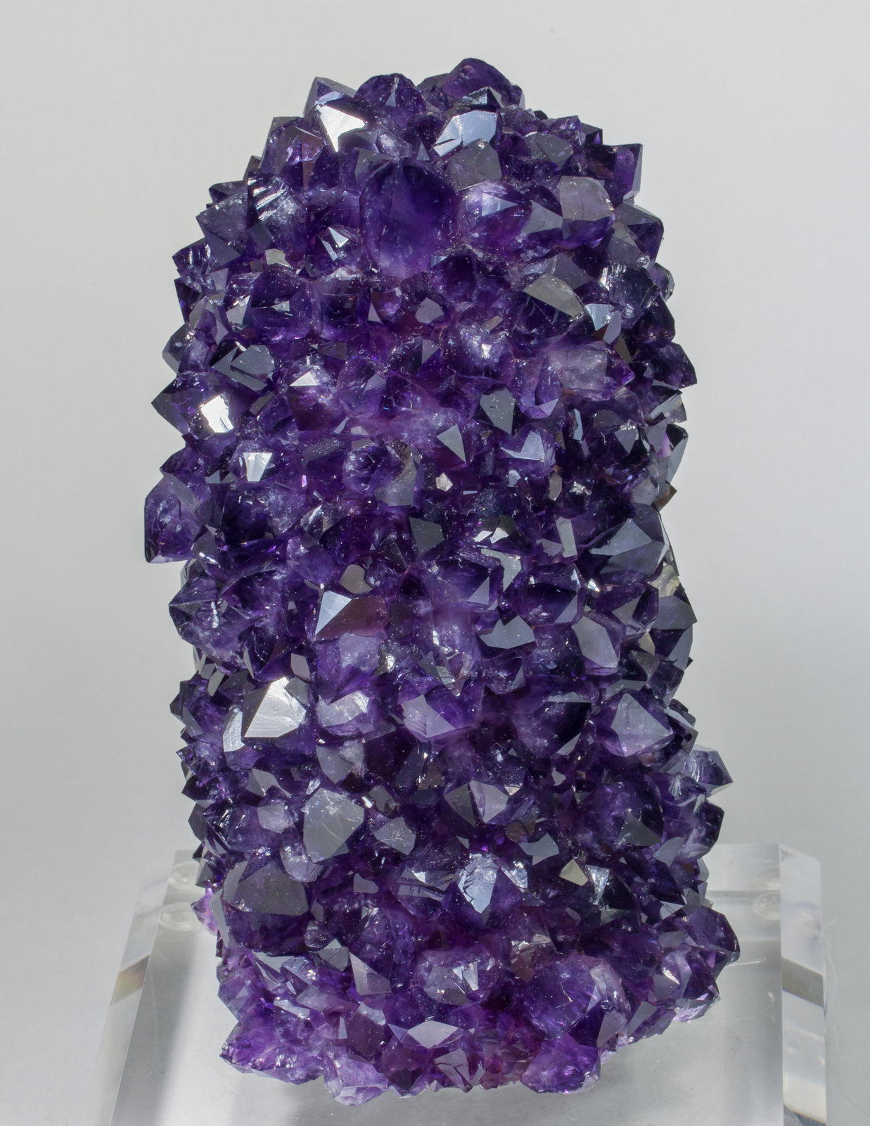 specimens/s_imagesAC8/Quartz_amethyst-MV89AC8f2.jpg