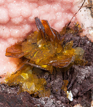 Shigaite with Rhodochrosite and Siderite. 