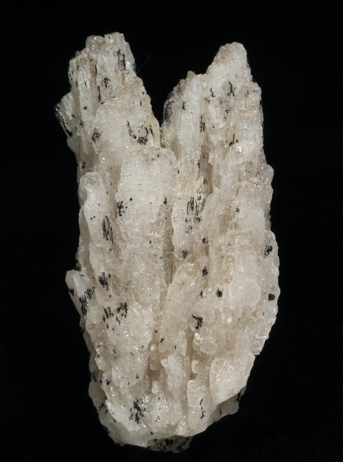 specimens/s_imagesAC9/Cerussite-EB56AC9f.jpg