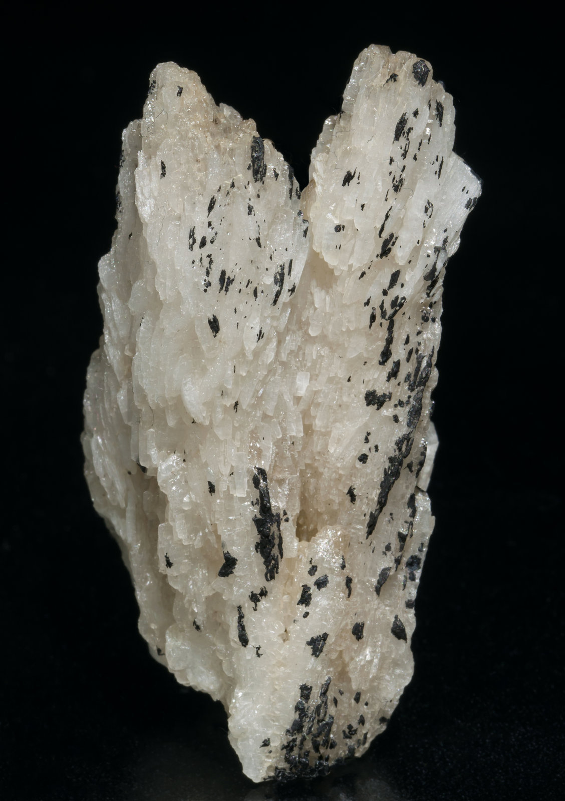 specimens/s_imagesAC9/Cerussite-EB56AC9r.jpg