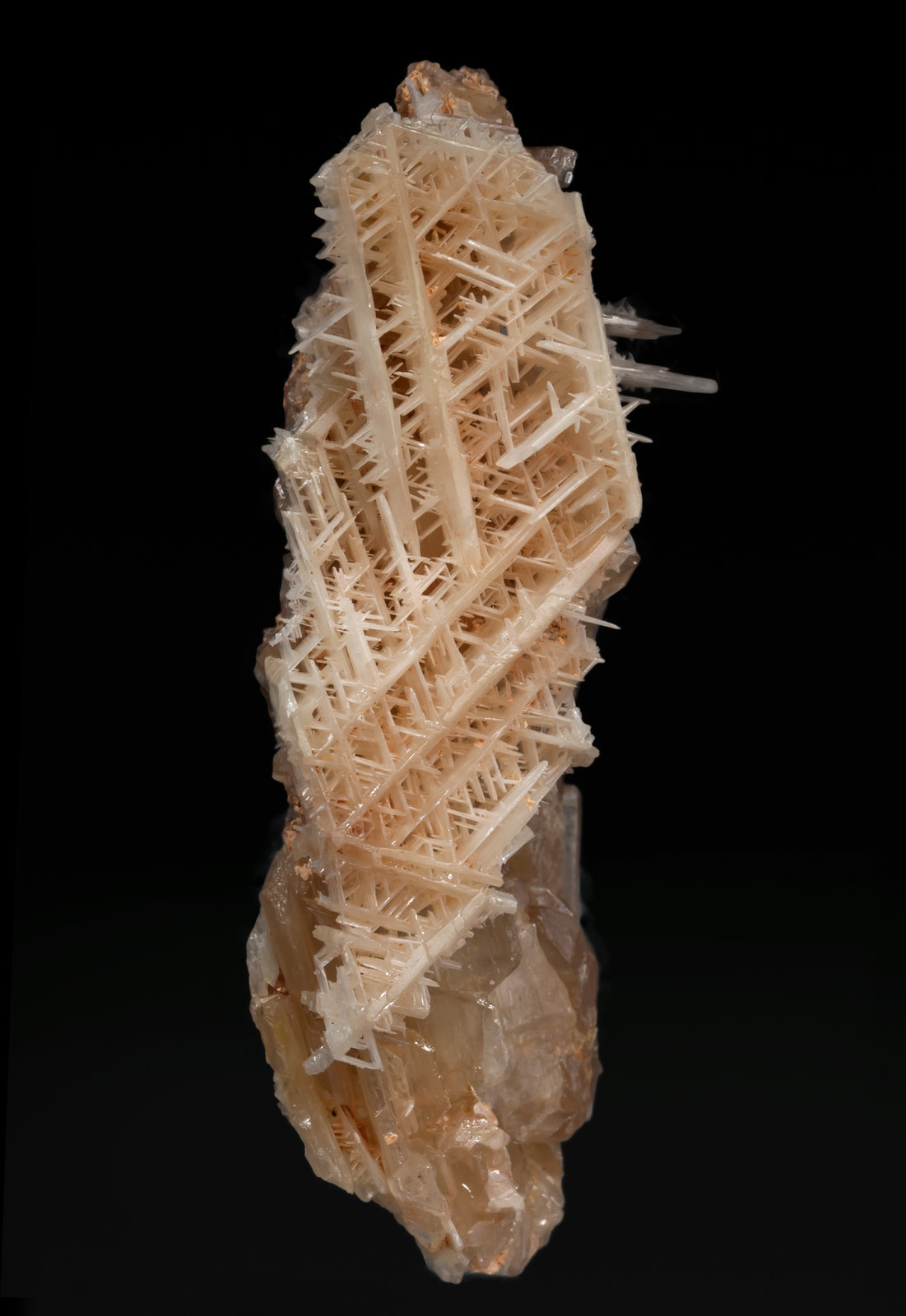 specimens/s_imagesAC9/Cerussite-NL59AC9s.jpg