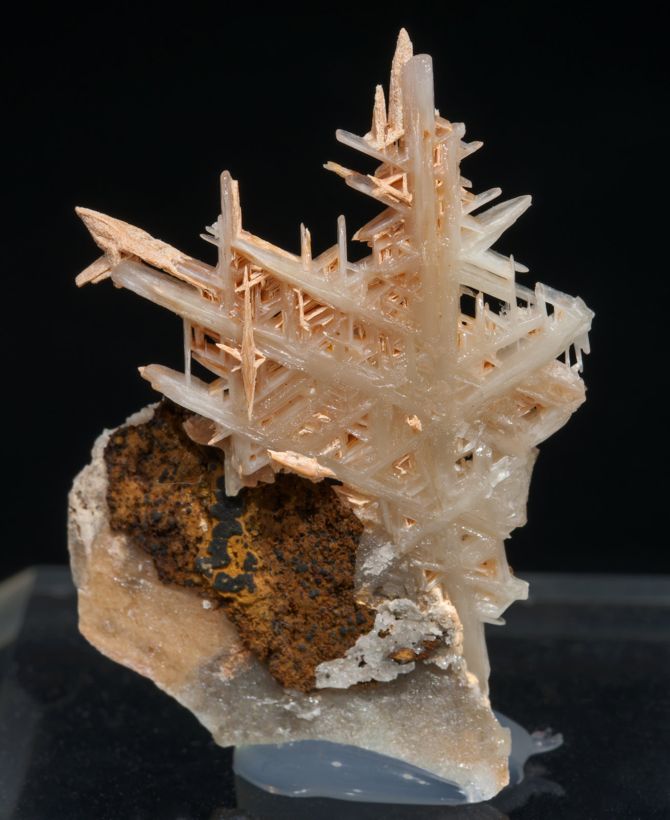 specimens/s_imagesAC9/Cerussite-NP96AC9f.jpg