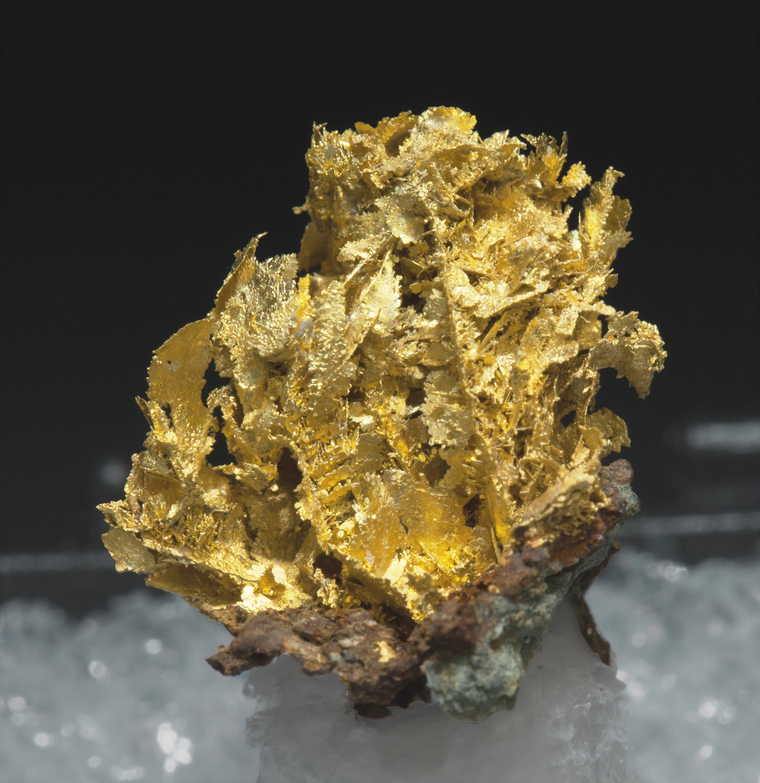 specimens/s_imagesAC9/Gold-TB98AC9s.jpg