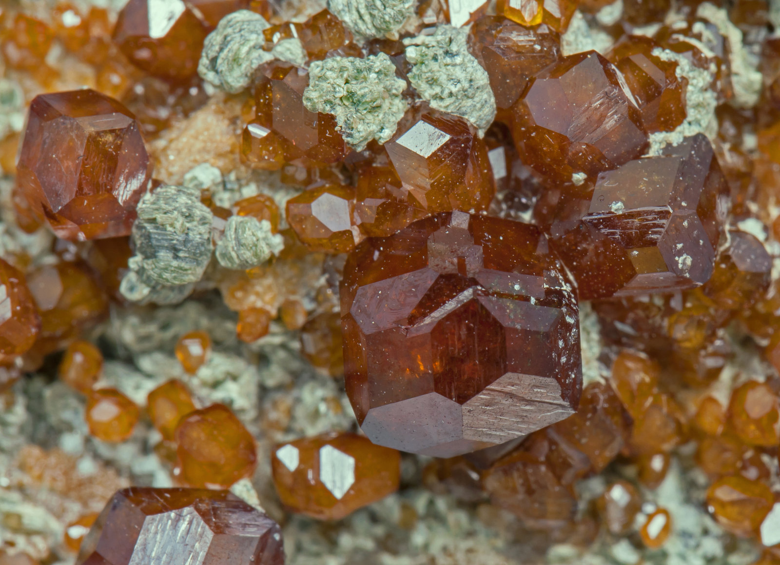specimens/s_imagesAC9/Grossular_hessonite-DR37AC9d1.jpg