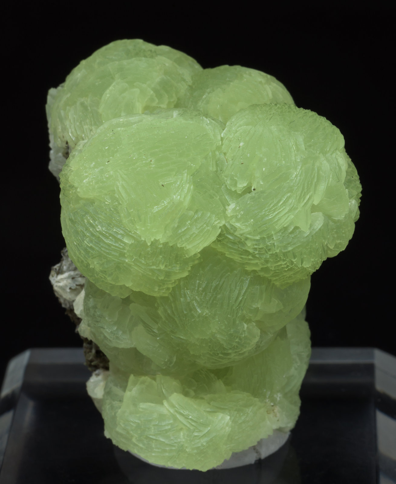 specimens/s_imagesAC9/Prehnite-NG59AC9f.jpg