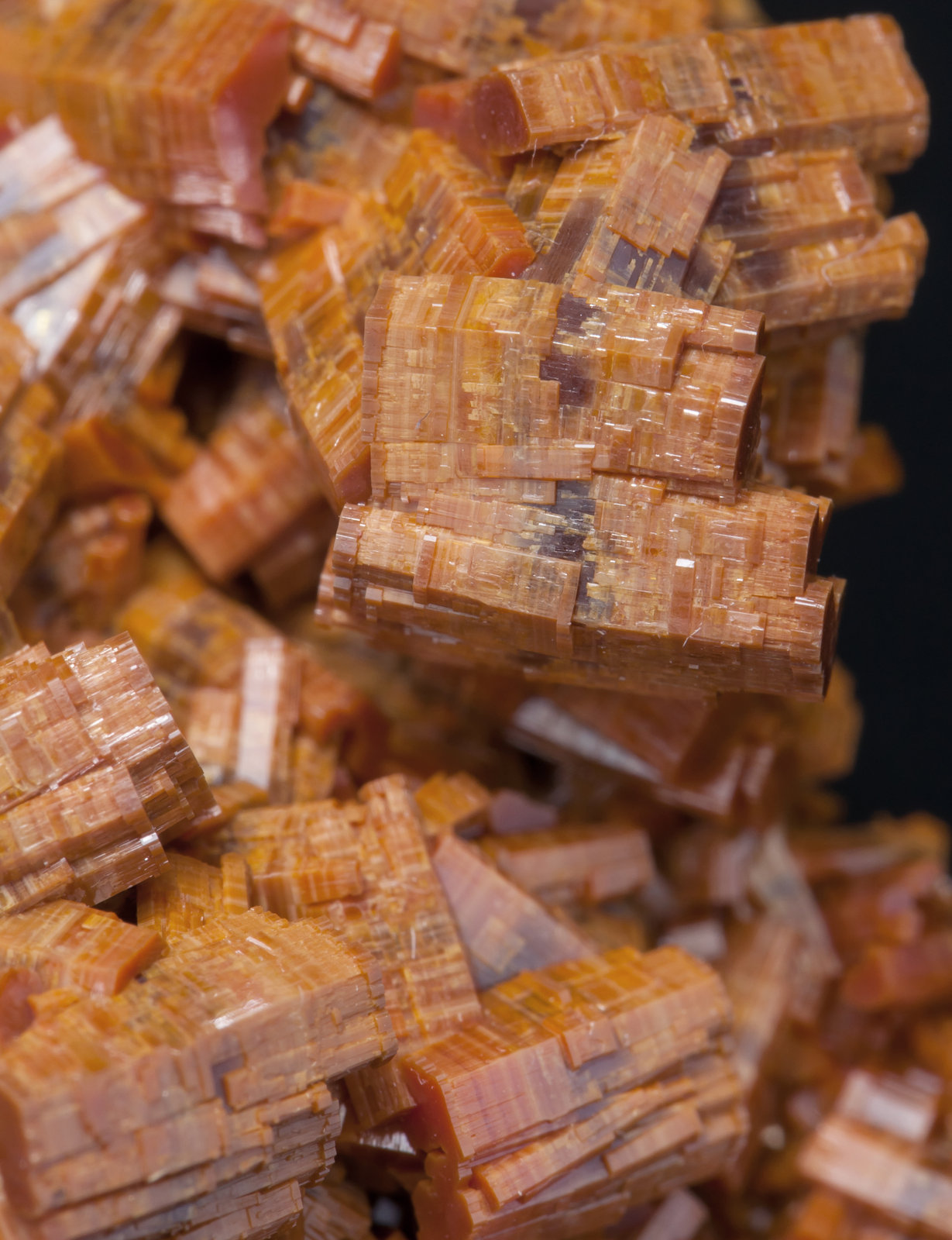 specimens/s_imagesAC9/Vanadinite-TH26AC9d.jpg