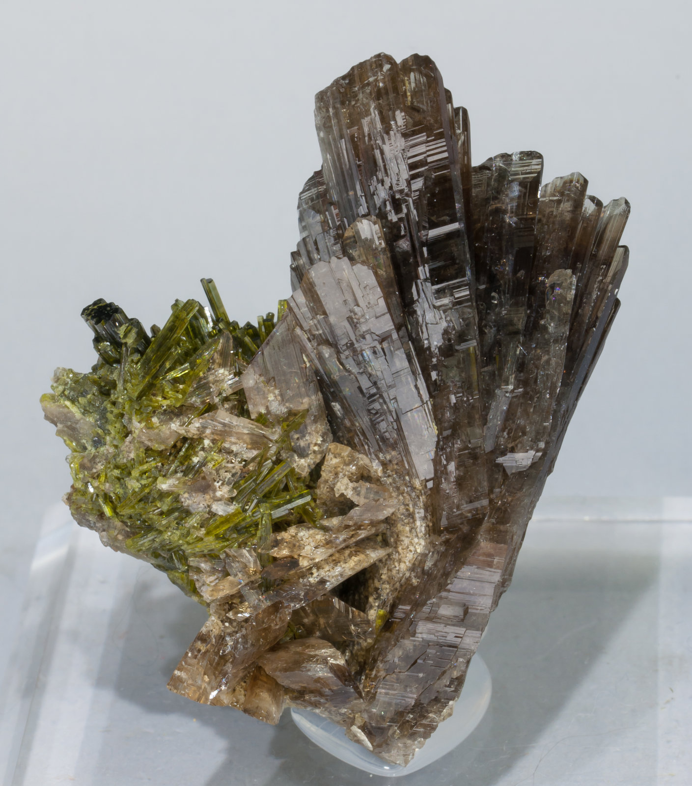 specimens/s_imagesAD1/Axinite-TG88AD1f.jpg